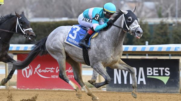 My World records Suidobashi victory in Jerome Stakes