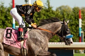 Napoleon Solo leads five candidates