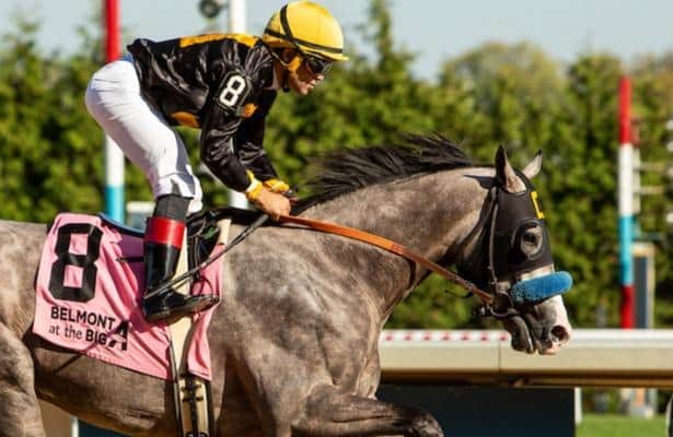 Napoleon Solo leads five candidates