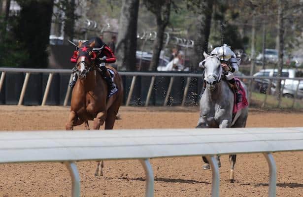 National HBPA Conference Tackles AI, Prediction Markets