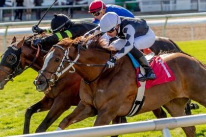 Noel's Weekend Winner: Big Saturday Worth Play at the Fairgrounds