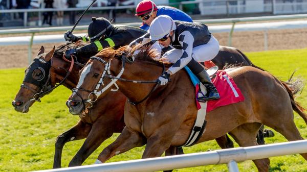 Noel's Weekend Winner: Big Saturday Worth Play at the Fairgrounds