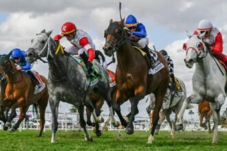 Noel's Weekend Winner: Play for a Double-Digit Price on the Pegasus Undercard