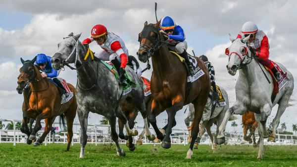 Noel's Weekend Winner: Play for a Double-Digit Price on the Pegasus Undercard