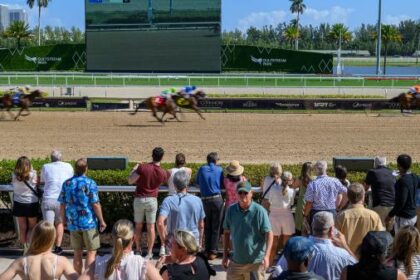 Noel's Weekend Winner: Sunshine's Temptation Leads to Gulfstream Park Stakes