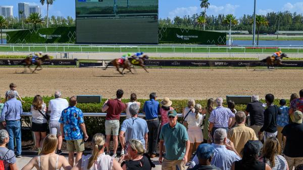 Noel's Weekend Winner: Sunshine's Temptation Leads to Gulfstream Park Stakes