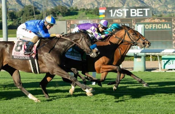 Paradise Lake wins with Robert J. Frankel