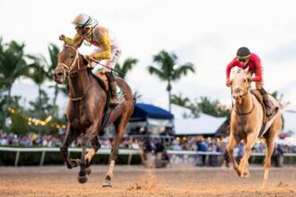 Pegasus World Cup weekend brings big changes to Equibase leaderboards