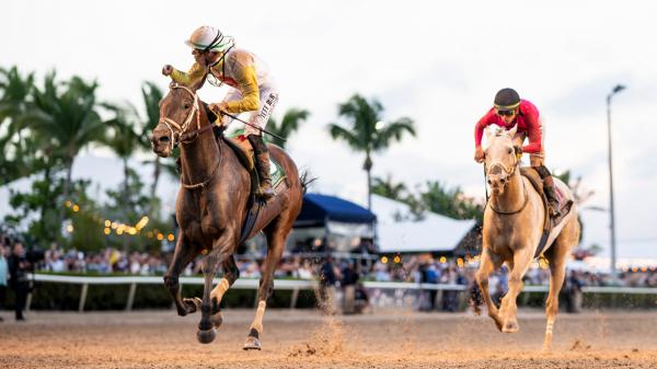 Pegasus World Cup weekend brings big changes to Equibase leaderboards