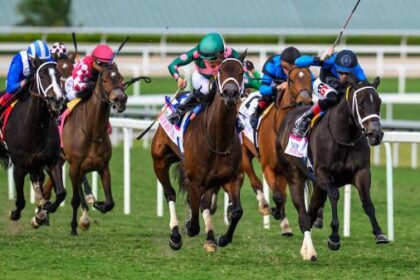 Pegasus mares and mare turf offer a great opportunity to find value