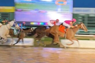 Perfect shot gives Asmussen another Houston Ladies Classic