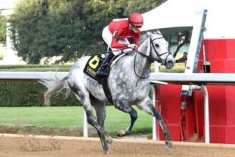 Roll On Big Joe leads major prize winners on tab