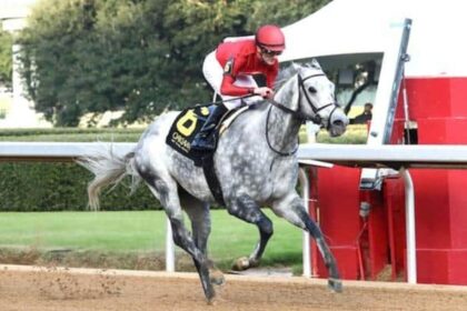 Roll On Big Joe leads major prize winners on tab