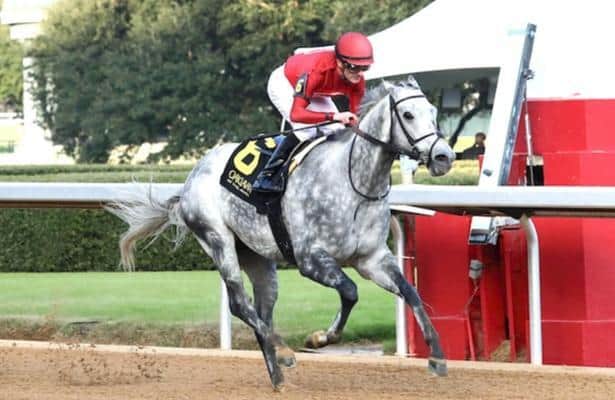 Roll On Big Joe leads major prize winners on tab