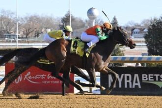 See Thursday's fastest horses and first-time winners