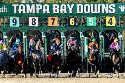 See who won Friday's fastest numbers