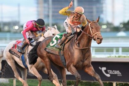 Skippy Longstocking wins Pegasus World Cup, tops test score on grass undercard