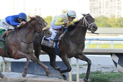 Skippylongstocking adjusted for Pegasus