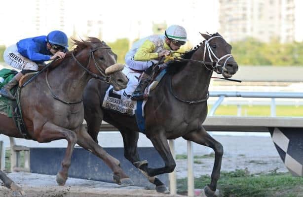 Skippylongstocking adjusted for Pegasus