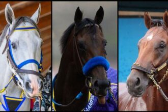 Slideshow: Meet the players for the 2026 Pegasus World Cup