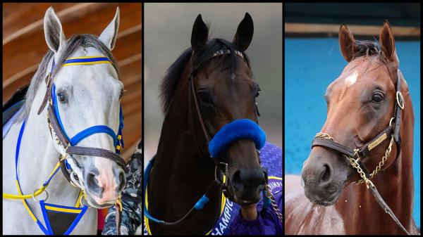 Slideshow: Meet the players for the 2026 Pegasus World Cup