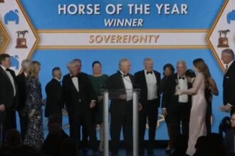 Sovereignty was honored as Horse of the Year at the Eclipse Awards.