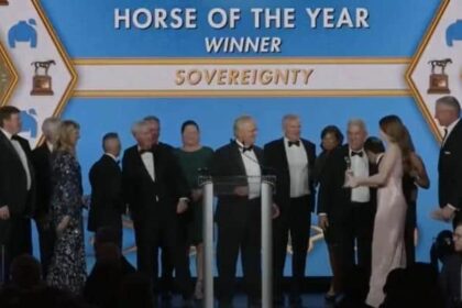 Sovereignty was honored as Horse of the Year at the Eclipse Awards.