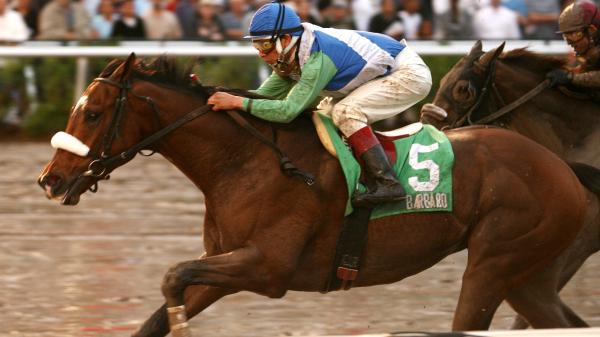 Stars of Yesterday: A look back at the best winners of the Holy Bull Stakes