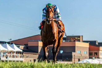 Street Beast Leads Field of 9 with Jeff Ruby Preparation