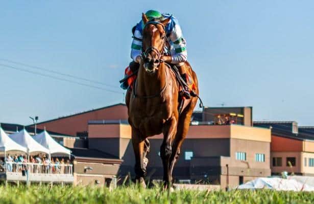 Street Beast Leads Field of 9 with Jeff Ruby Preparation