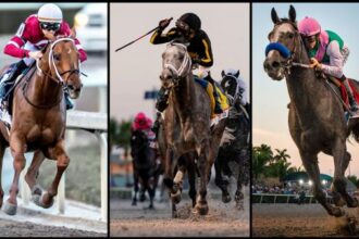 Sublime Nine: Pegasus World Cup Winner Ranking