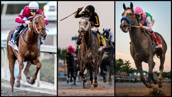Sublime Nine: Pegasus World Cup Winner Ranking