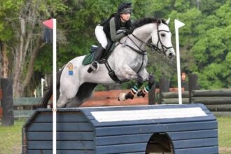 Thoroughbred Incentive Program Announces 2026 Shows and Championships