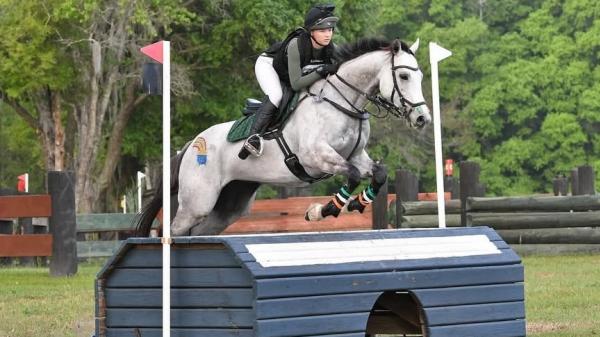 Thoroughbred Incentive Program Announces 2026 Shows and Championships