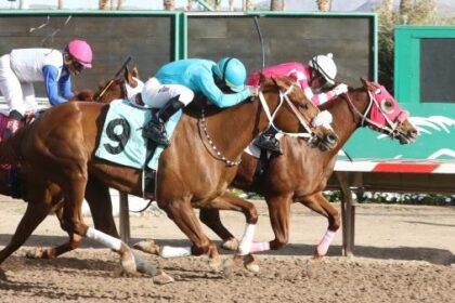 Thoroughbred racing's winningest horses of 2025: Small track star's sharp warning