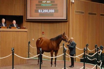 Tiffany case of nitrogen dam sold for $3.2 million