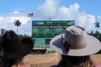 Viewing location: Horse racing broadcast from January 29th to February 1st