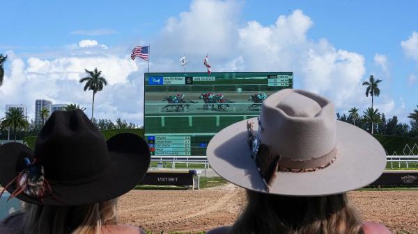 Viewing location: Horse racing broadcast from January 29th to February 1st