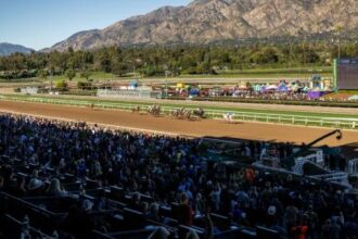 What kind of positive impact can anime have on horse racing?Let's explain in the Uma Musume community