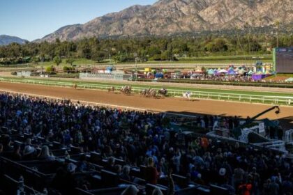 What kind of positive impact can anime have on horse racing?Let's explain in the Uma Musume community