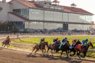 Where to watch/watch: Horse Racing Coverage January 15-18