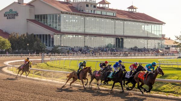 Where to watch/watch: Horse Racing Coverage January 15-18