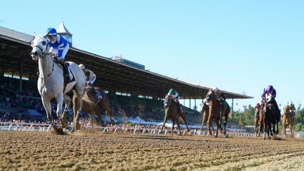 Where to watch/watch: Horse Racing Coverage January 8th - 11th