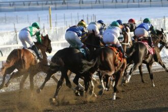 Will Balboa land a knockout punch in the 2026 Jerome Stakes?