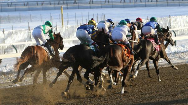 Will Balboa land a knockout punch in the 2026 Jerome Stakes?