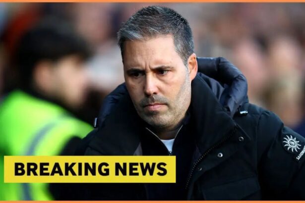 Leicester City turn down Caleb Okoli approach