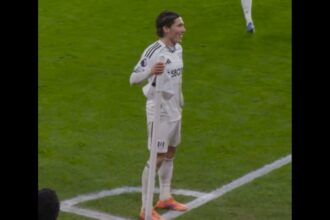 Harry Wilson scores Fulham's stunning winning goal against Chelsea (video)