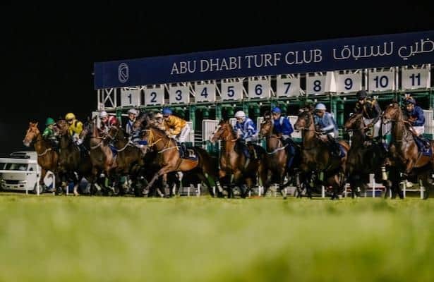 16 horses will run in the first $1 million turf race