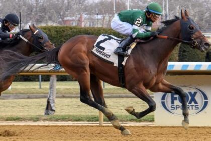 2026 Gotham Stakes Overview