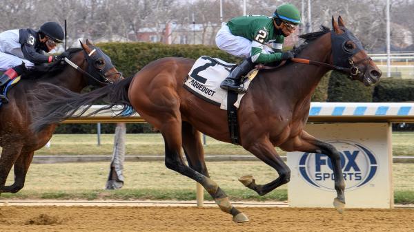 2026 Gotham Stakes Overview